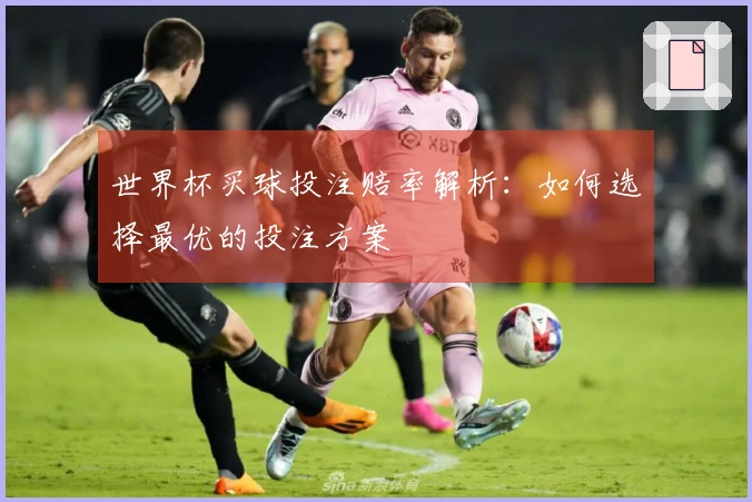 世界杯买球投注赔率解析：如何选择最优的投注方案