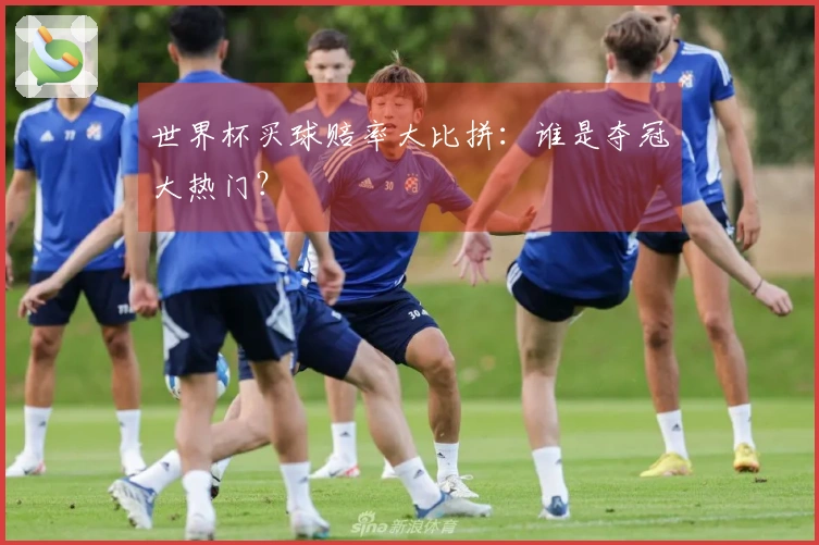世界杯买球赔率大比拼：谁是夺冠大热门？