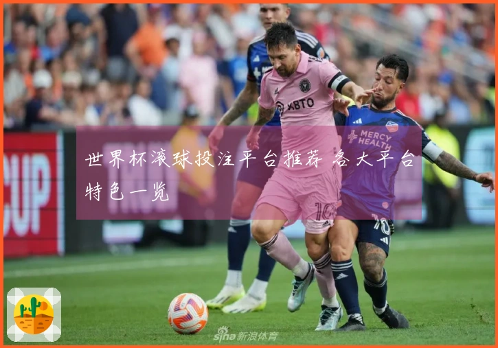 世界杯滚球投注平台推荐 各大平台特色一览