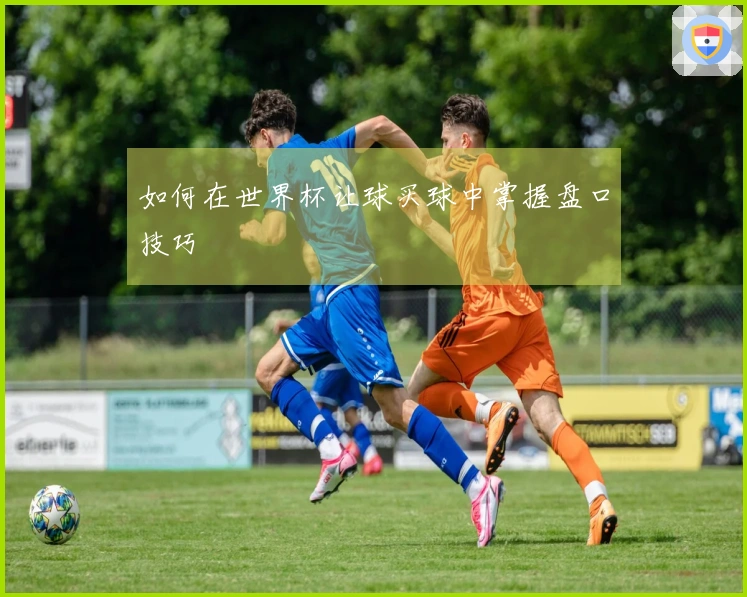 如何在世界杯让球买球中掌握盘口技巧