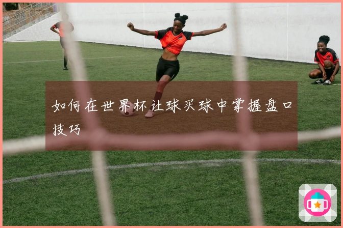 如何在世界杯让球买球中掌握盘口技巧